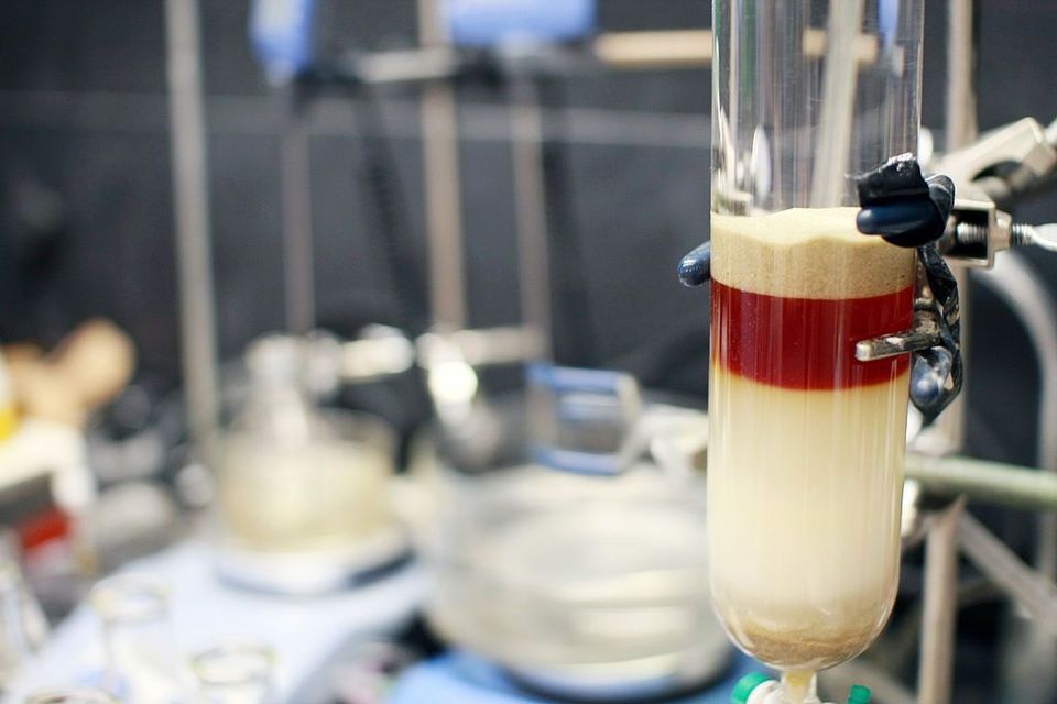 Downstream Processing: Chromatography