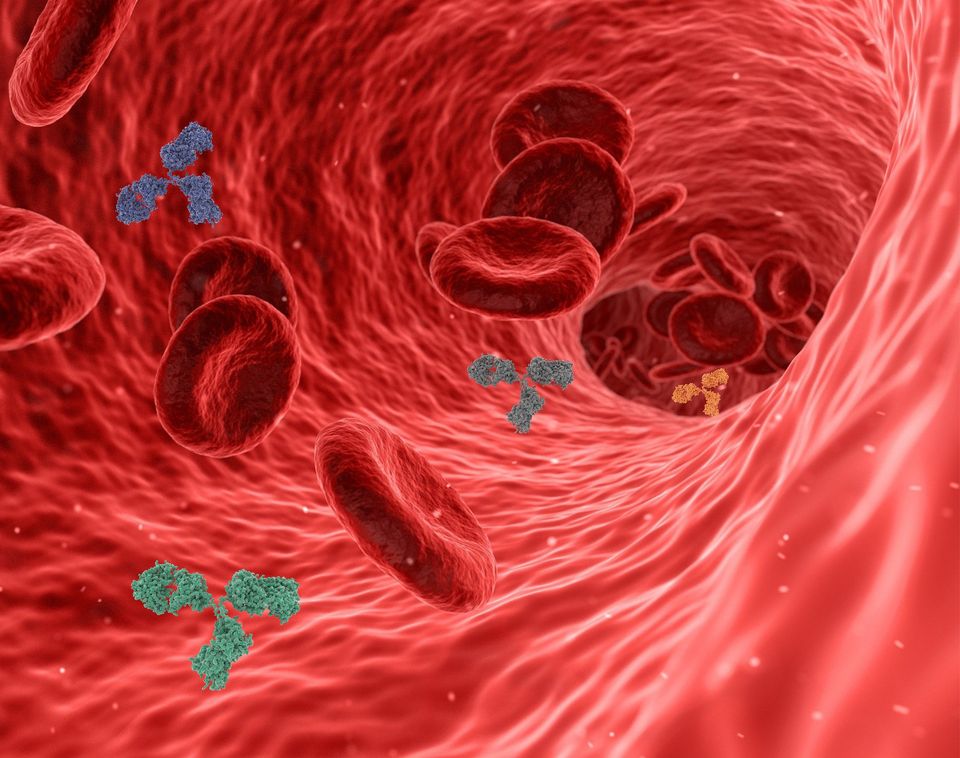 Antibody Targeted Therapies